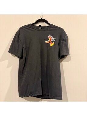 District Graphic Tee Shirt Mens M Grey Phoenix Quote Some Are Lost To Fire